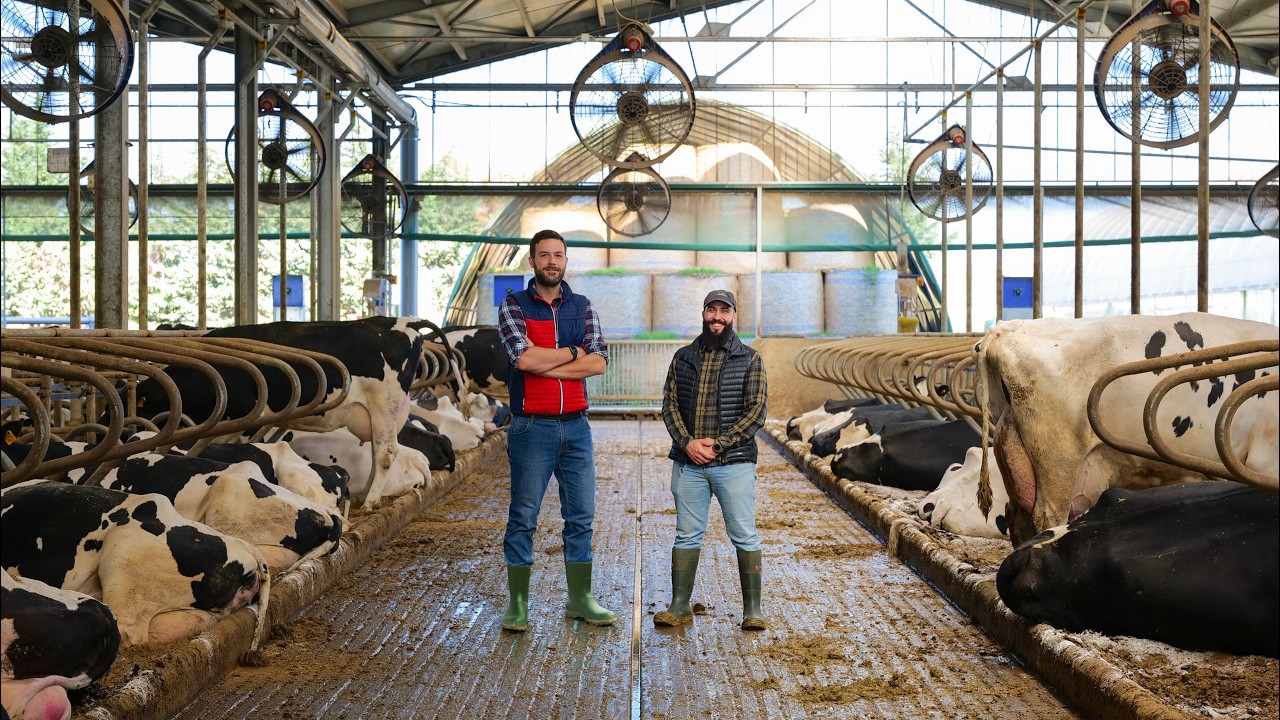 COME LE STALLE STANNO DIVENTANDO SOSTENIBILI: il 90% non sa cosa succede