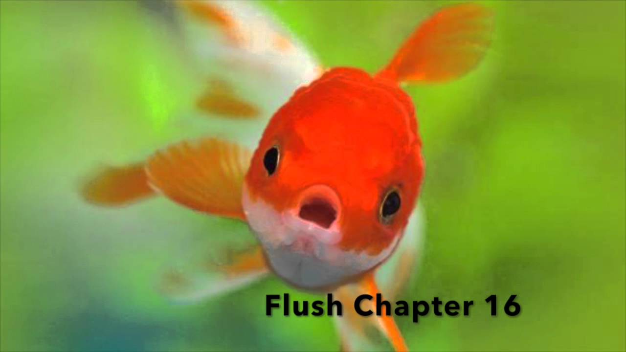 Miss o reads flush chapter 16 YouTube