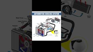 Cooling system #engine #automobile #engineering