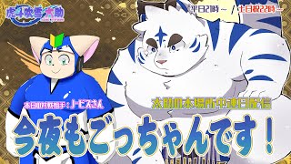 今夜もごっちゃんです！太助の本場所中連日配信【五月場所二日目】