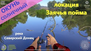 Русская рыбалка 4 - река Северский Донец - Окунь солнечный за лагерем