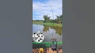 HỒ CÂU ĐÀI 81 GIA LAI #huynhvananfishing #caucaloc #cauca