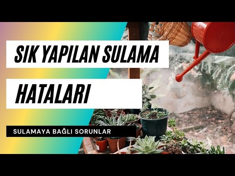 Video: Yanlış Sulama Sonucu Iç Mekan Bitkilerinin Kök çürümesi