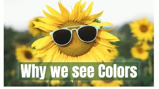 Light Properties:- Absorption - Why we see colors