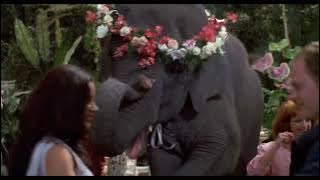 George of the jungle elephant/dog Shep