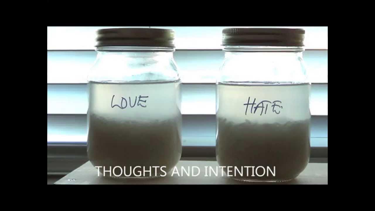 Word Power Day 1 Rice & Water Experiment YouTube