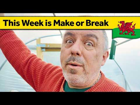 415. Losing Direction - Slow Living Alone in Wales