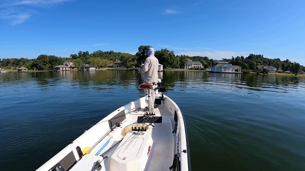 Live! Guntersville Lake, Late Summer Bass Fishing in the Grass