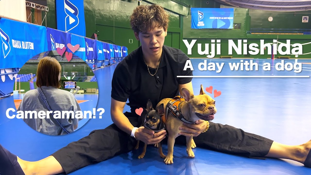 西田家の愛犬チャーリー&ハリソンを紹介します｜Yuji Nishida - YouTube