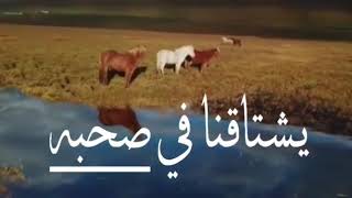 كسب القلوب بحبه اداء منصور السالمي تصميمي