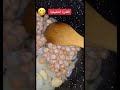القدرة الخليلية الفلسطينية   اسهل طريقة لعمل القدرة الفلسطينية   الخليل   طبخ    القدرة سمعها