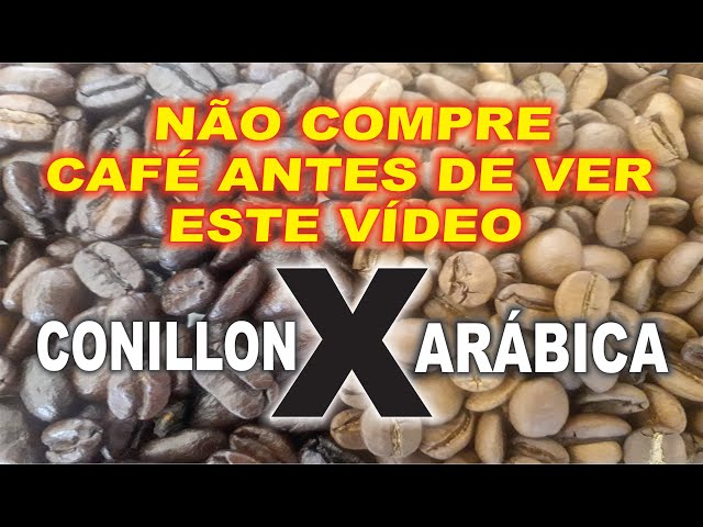 CAFÉ CONILON X CAFÉ ARÁBICA - CONHEÇA AS DIFERENÇAS 