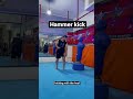Hammer Kick Mp3 Song