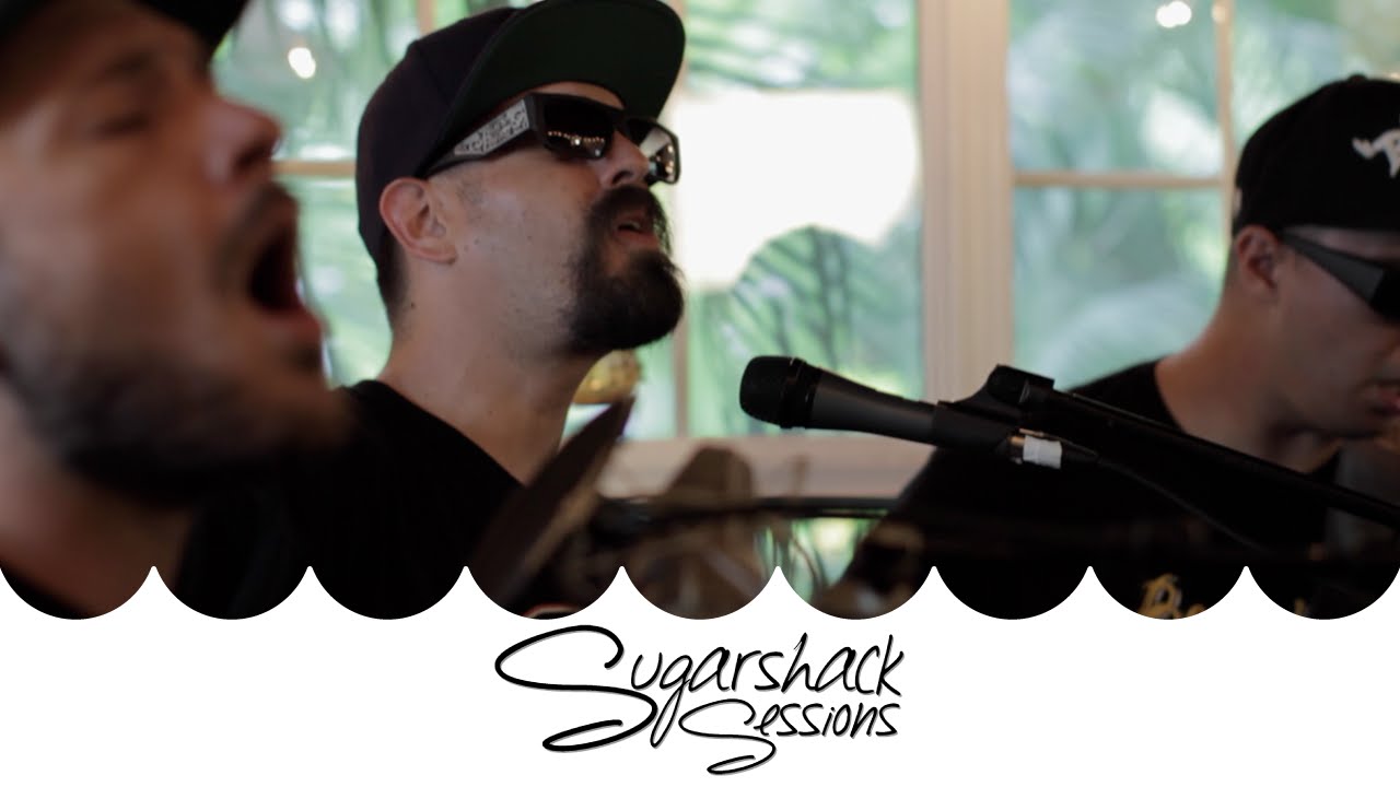 The Expanders - People Business (Live Music) | Sugarshack Sessions ...