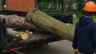 Winch Logs with Truck