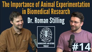 Why are animal experiments inevitable in biomedical research? | Dr. Roman Stilling