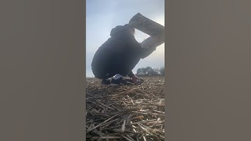 Mini talon pro first maiden and using autolaunch