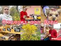 Делаю Сюрприз😻Лерины дипломы💗Святим вербу🌿Vlog