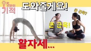 활자세 제대로 하는 법[오분의 기적]#우르드바다누라아사나