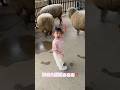 初めてのマザー牧場🐏　#２歳#マザー牧場#日常#おでかけ