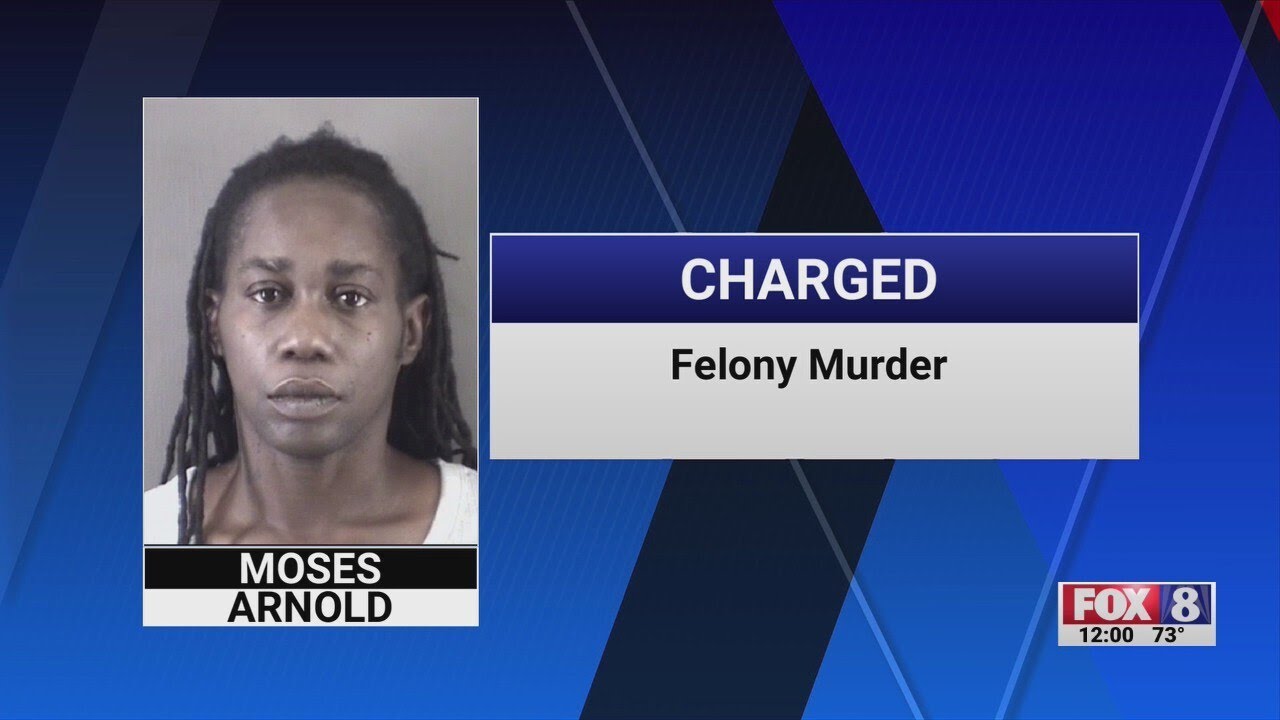 Woman charged with murder after intentionally hitting person with car ...