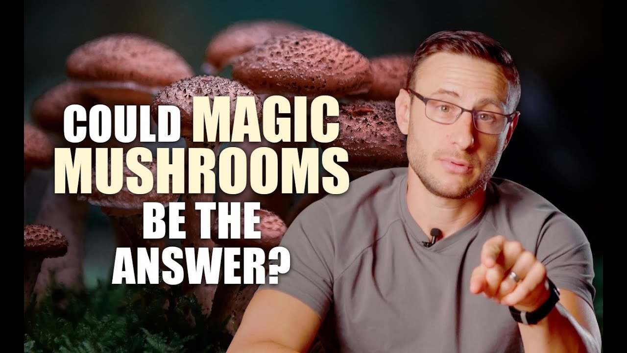 Могут ли волшебные грибы действительно вылечить депрессию? Вот что говорят последние научные данные