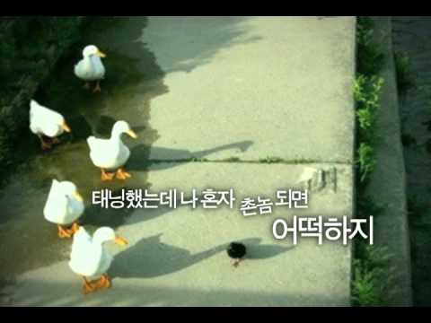 여름 휴가 가는데 어떡하지?