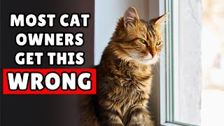 10 Things You Should NEVER Do When Leaving Your Cat Alone