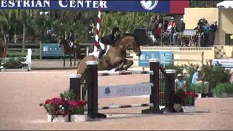 Video of CATTANI ridden by ALEXANDRA THORNTON from...