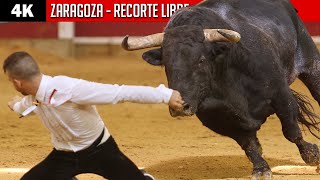 4K ▪ ZARAGOZA ▪ 🏆 Trofeo FERIA DEL PILAR ▶ Ganadería SÁNCHEZ HERRERO