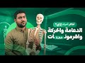 طريقك إلى 6060 في الأحياء تفاصيل الدعامة والحركة والهرمونات د أحمد الجوهري  mp3