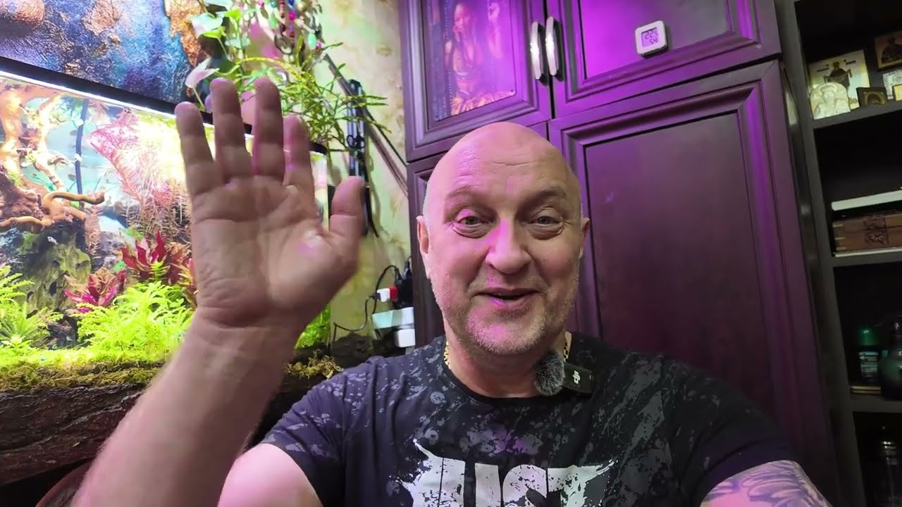 Аквариумный рай. Эпиплатис факельный продолжение , креветки , коряги и колобок )