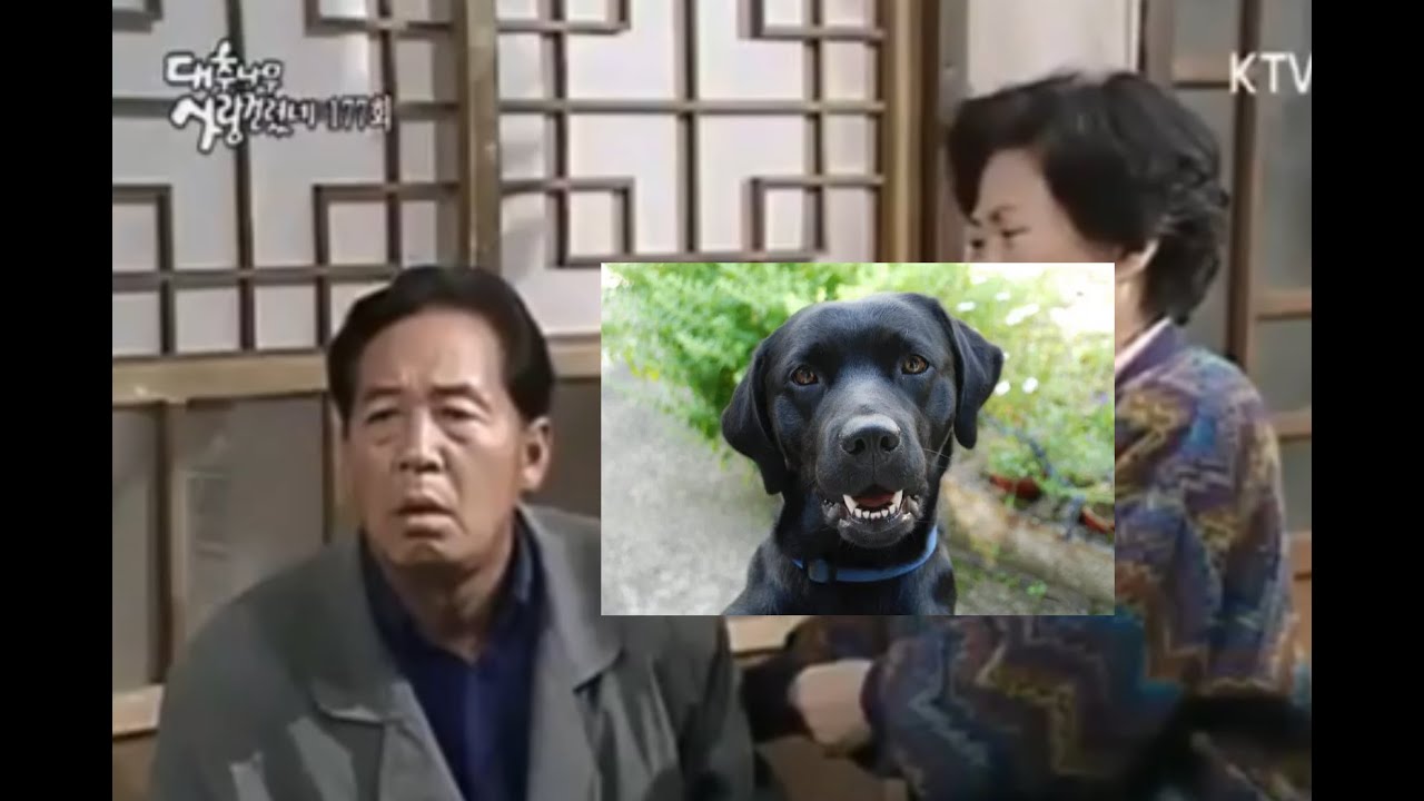 대추나무 사랑걸렸네 - 개가 된 박달재