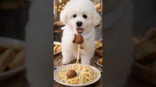 Batalla de Comida 🐶🍔 #7 #pets #short #funny
