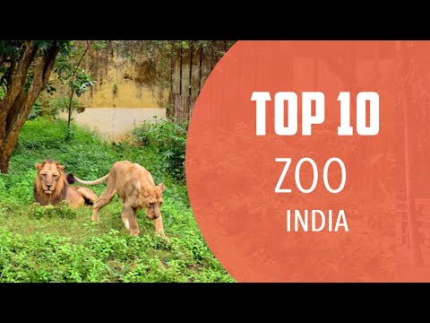Video: Cik zooloģisko dārzu ir Indijā?