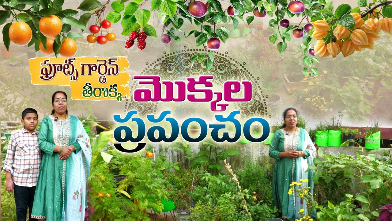 Домашнее садоводство, которое подарит вам ощущение пребывания на природе | Himabindu #ДомашнееСад...