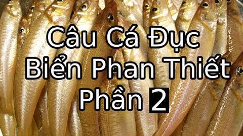 câu cá đục giải trí thật thú vị tại biển tiến thành phan thiết phần 2