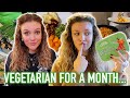 I WENT VEGETARIAN FOR A MONTH... & this was how it went