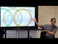 Stationary Points and Function Behavior