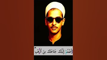 واضمم إليك جناحك من الرهب | الأوجة المكنونة والروايات الجميلة | سورة القصص من أمين القراءات