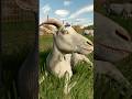 Farming Simulator 25 Goats 🐐 #fs25 #farmingsimulator25 #fs25fragman #fs25trailer