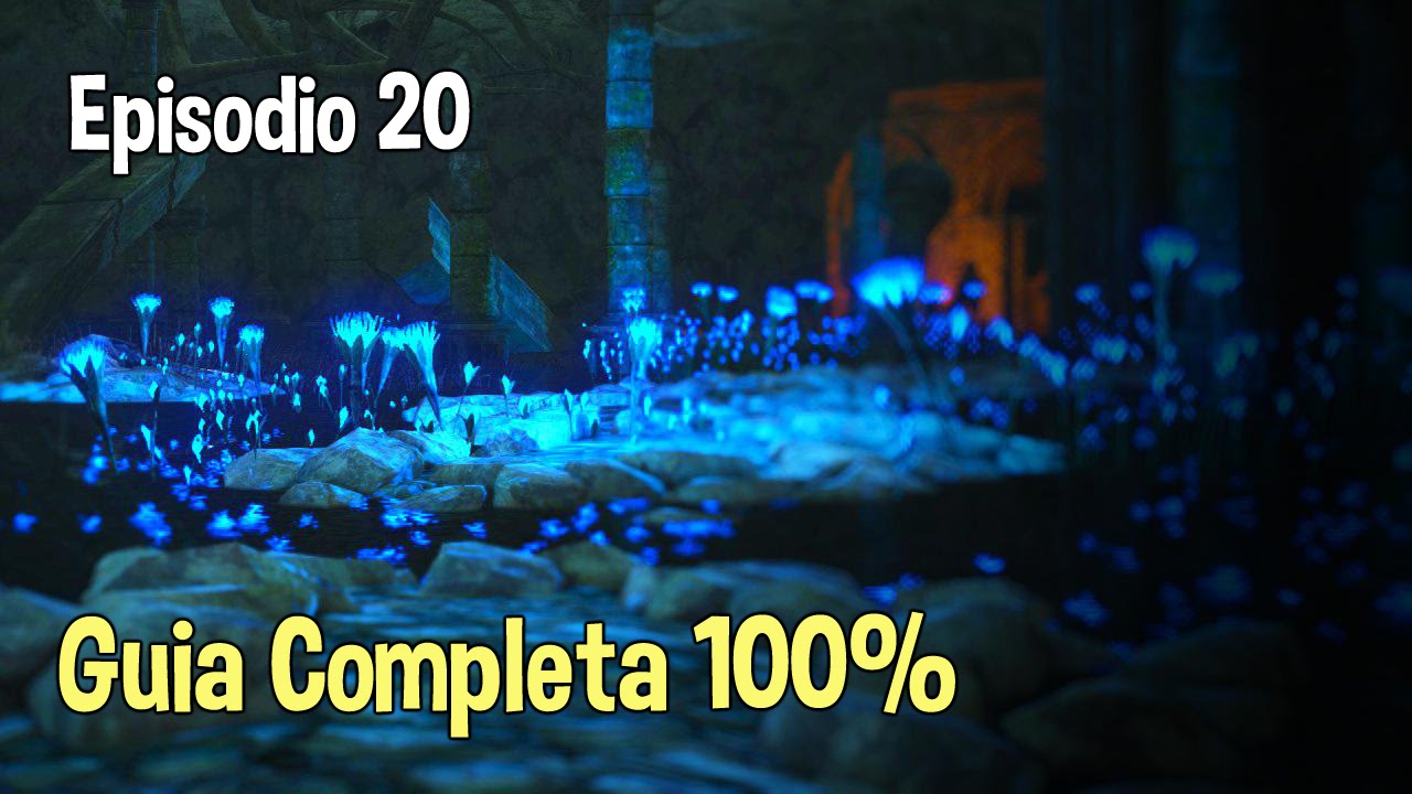 Dark Souls 2 Santuario De Amana
