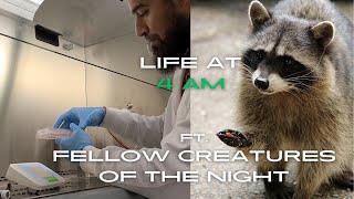 The Nightlife as a Nocturnal MD/PhD student  Day in the Life Video
