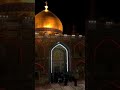 عد يا علي لالا تخيب فاطمة شيعة القائم المهدي المنتظر علي حيدر مقاطع واتساب ليلة القدر كرار محرم عد يا علي لالا تخيب فاطمة شيعة القائم المهدي المنتظر علي حيدر مقاطع واتساب ليلة القدر كرار محرم