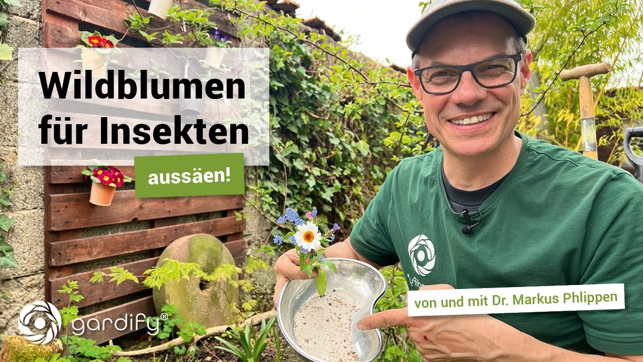 Wildblumen für Insekten! Bienenweide anlegen, Aussaat von Wildpflanzen | gardify Tipps