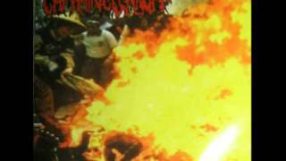 Captain Cleanoff - ADIDAS