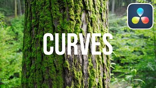 Master Curves in DaVinci Resolve - Day 7