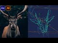 Animated Geometry Animals in After Affects