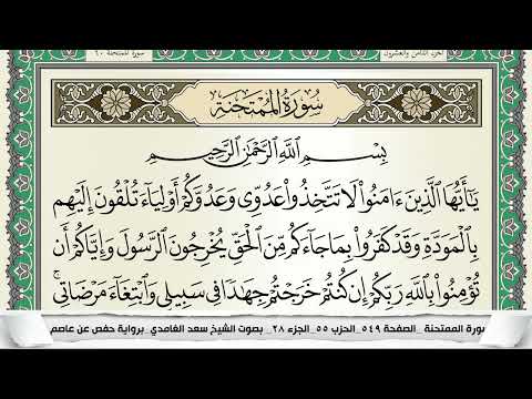 سورة الممتحنة سعد الغامدي