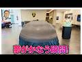 【納車動画】ついに夢がかなう瞬間!! 購入の裏話から納車後のルーティンまで!! E-CarLife with 五味やすたか